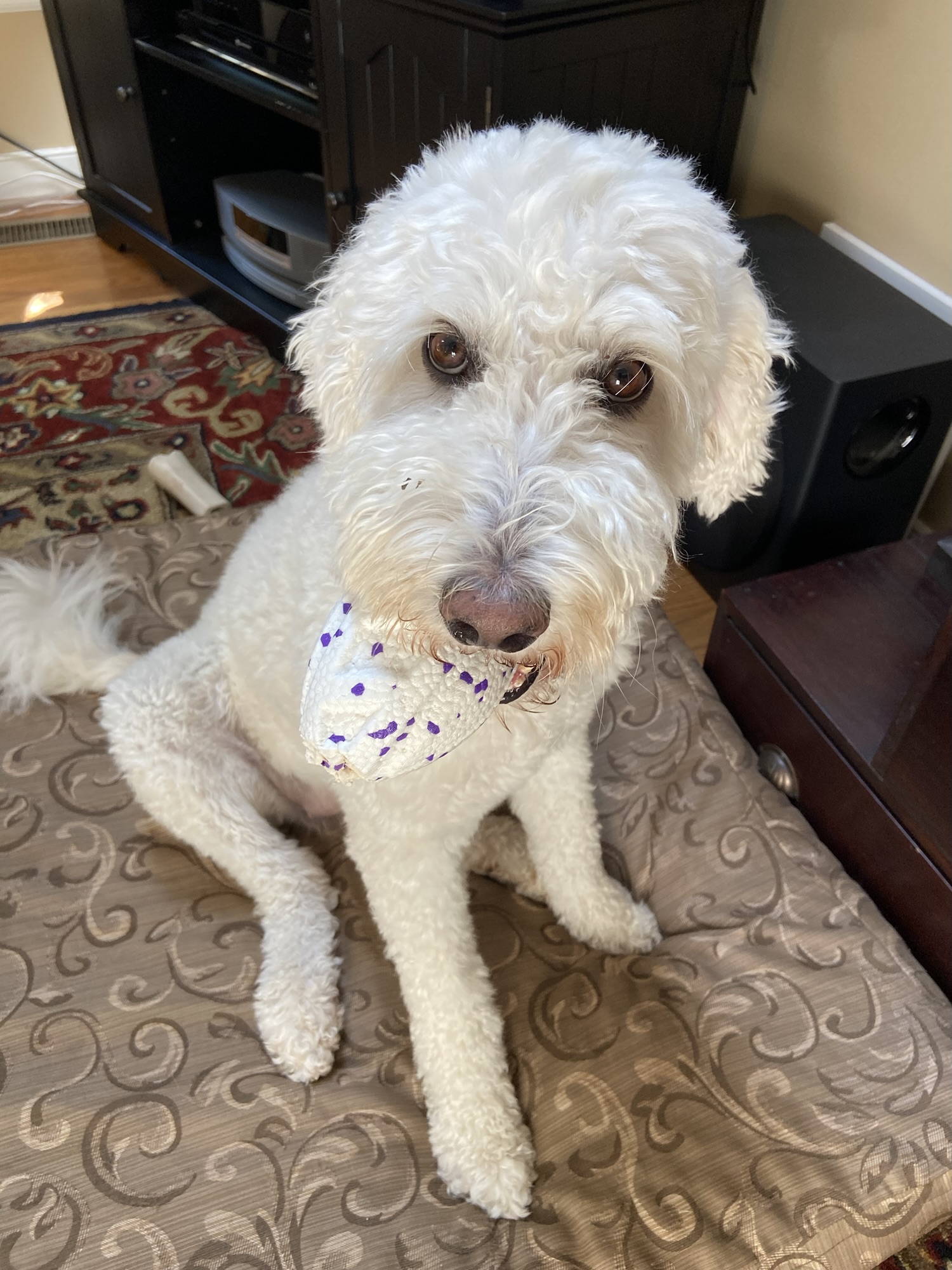 Monthly Weigh In Dec. 2025