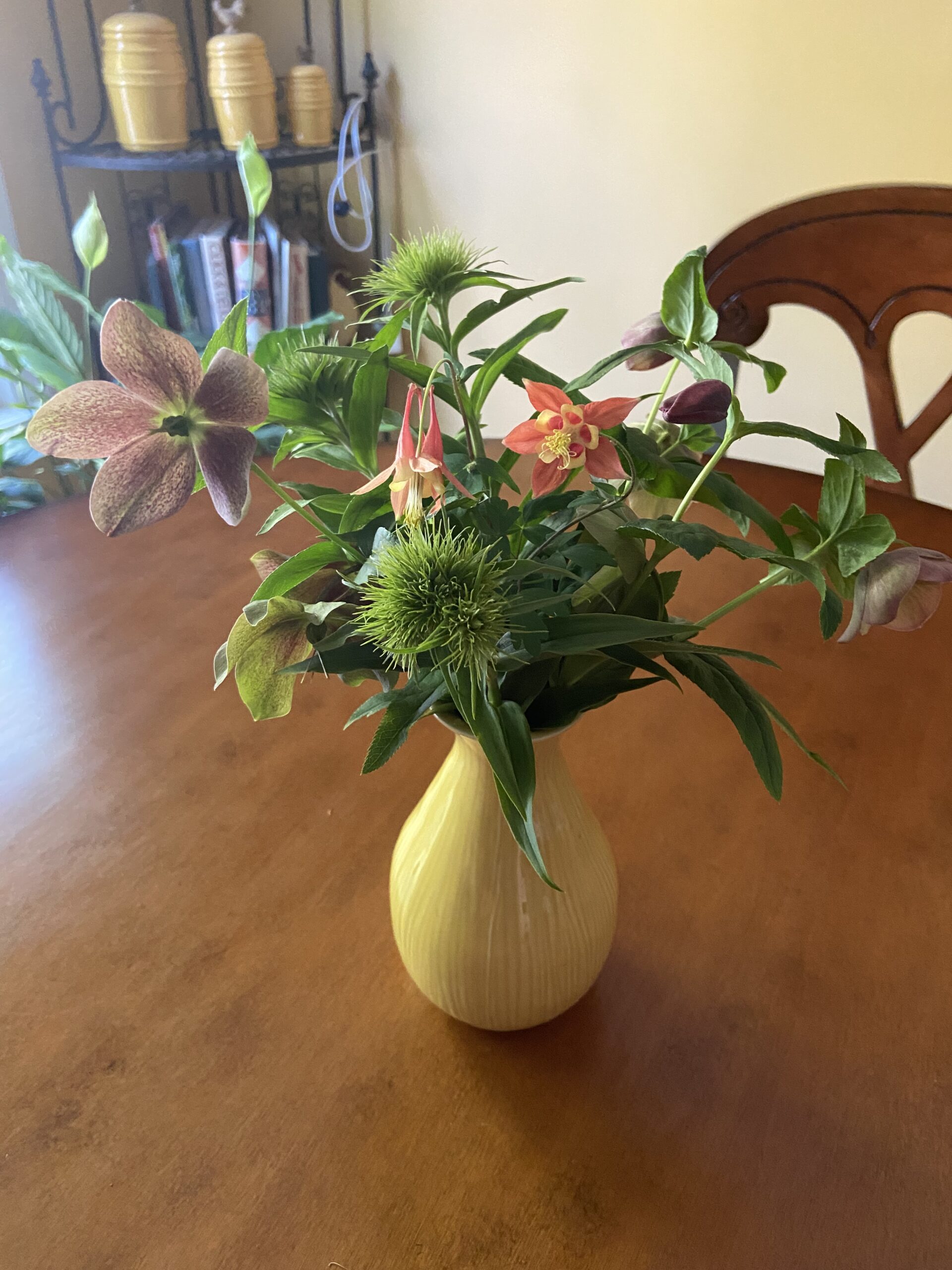 Wildflower Garden Bed