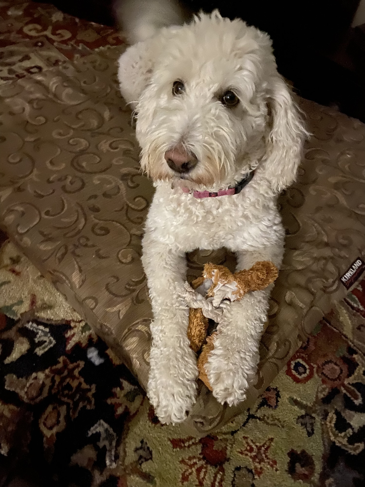 Monthly Weigh In – April ‘26